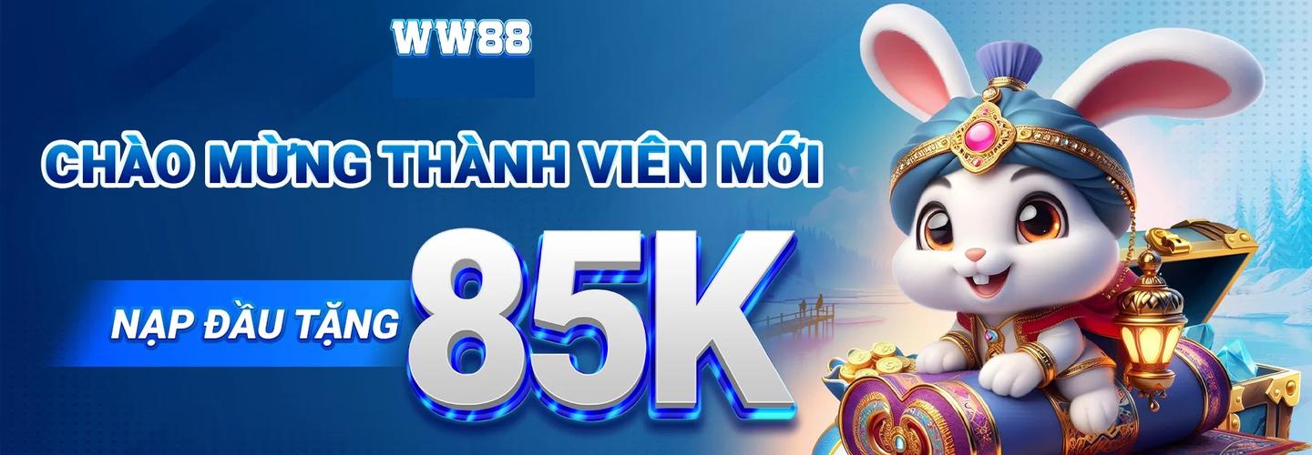 WW88 HI cover photo