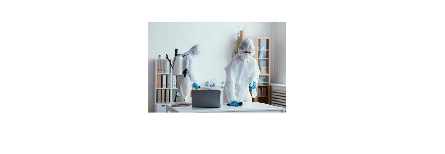 Mould Experts Cairns - Removal | Restoration | Testing cover photo