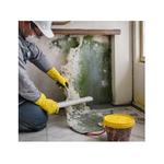 Mould Experts Cairns - Removal | Restoration | Testing - photo 1