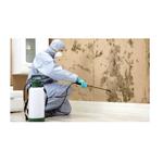 Mould Experts Cairns - Removal | Restoration | Testing - photo 3