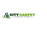 City Carpet Cleaning Sydney - Solar Panel Cleaning in Sydney