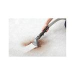 Premier Rug Cleaning and Washing - Northern NSW - photo 2