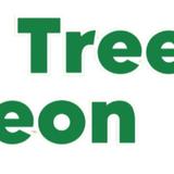 Southend On Sea Tree Surgeon - Tree Services in Southend-on-Sea