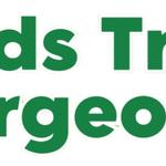 Southend On Sea Tree Surgeon - photo 1