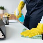 NSP Cleaning and Maintenance Services - photo 4