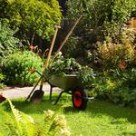 AAA Able Abaca Gardening & landscaping - photo 9