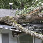 Emergency Cleaning Service - photo 1