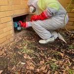 Pest Alert Pest Control Services - photo 1