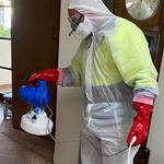 Pest Alert Pest Control Services - photo 7