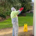 Pest Alert Pest Control Services - photo 8