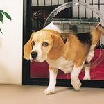 Russel Glazing - photo 7