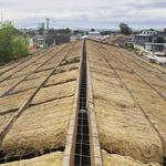 OZ Demo Services Pty Ltd - photo 5