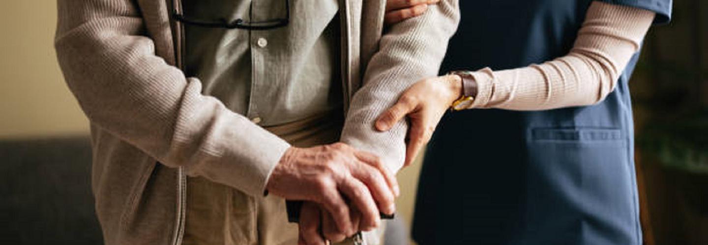 Marys House ALF cover photo