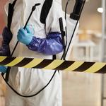 Turbo Pest Control - photo 7