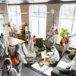 Turbo Pest Control - photo 10