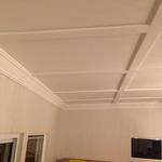 Steven Trevisan Plastering - photo 2