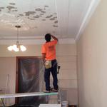 Steven Trevisan Plastering - photo 3
