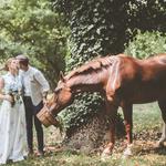 The Styled Bride - photo 1