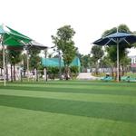 Australian Artificial Grass - photo 6