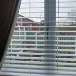 Visionary Blinds - photo 1