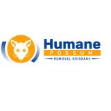 Humane Possum Removal Brisbane - Pest Control in Brisbane