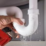 Drainpro Plumbing - photo 3