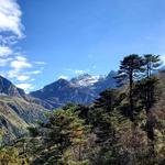 Best of Bhutan Tours - photo 3