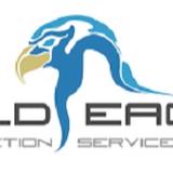 Bald Eagle Inspection Services - Home Services in Albany