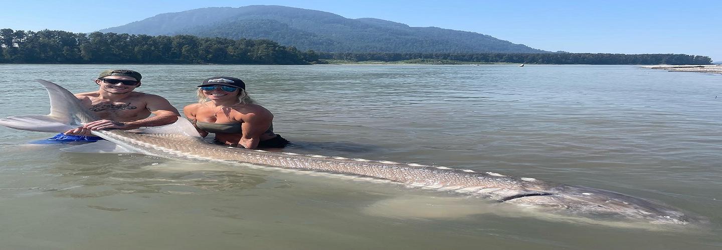 River Therapy Fishing - Fraser River Sturgeon Fishing