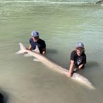 River Therapy Fishing - Fraser River Sturgeon Fishing - photo 1