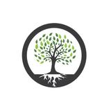 Tree Surgeon Ashford Kent - Tree Services in Ashford