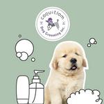 Coquitlam Dog Grooming Inc. - photo 3