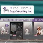 Coquitlam Dog Grooming Inc. - photo 4