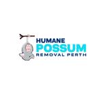 Humane Possum Removal Perth