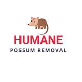 Humane Possum Removal