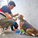 Shaggy Shack Pet Resort - photo 2