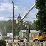 Lenk Tree Services - photo 2