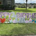 Bounce Party Apopka - photo 6