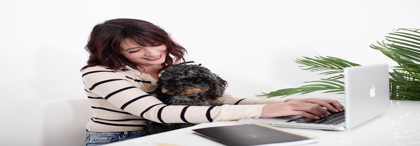 Boise Doodle Co. cover photo