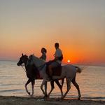 Natadola Beach Horse Riding - photo 1