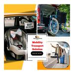 Maxi and Wheelchair Cabs - photo 4