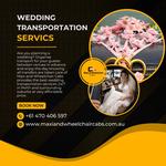 Maxi and Wheelchair Cabs - photo 6