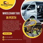 Maxi and Wheelchair Cabs - photo 10