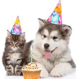 Companion Gifts - Pet Stores in Marrickville