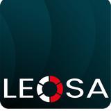 LEOSA Webagentur Konstanz - Web Design & Development in Konstanz