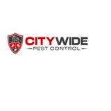 City Wide Bed Bug Control Melbourne