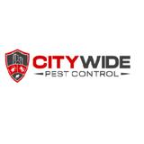 City Wide Bed Bug Control Adelaide