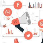 Zealite Agency - photo 3