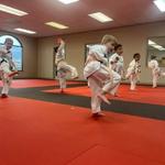 Cape Martial Arts - photo 3