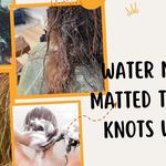 Salon Get Huge Matted Knots Out - photo 3